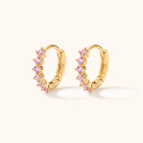Gold Mini Pink Hoops