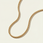 Gold Box Chain Necklace laying on a neutral background